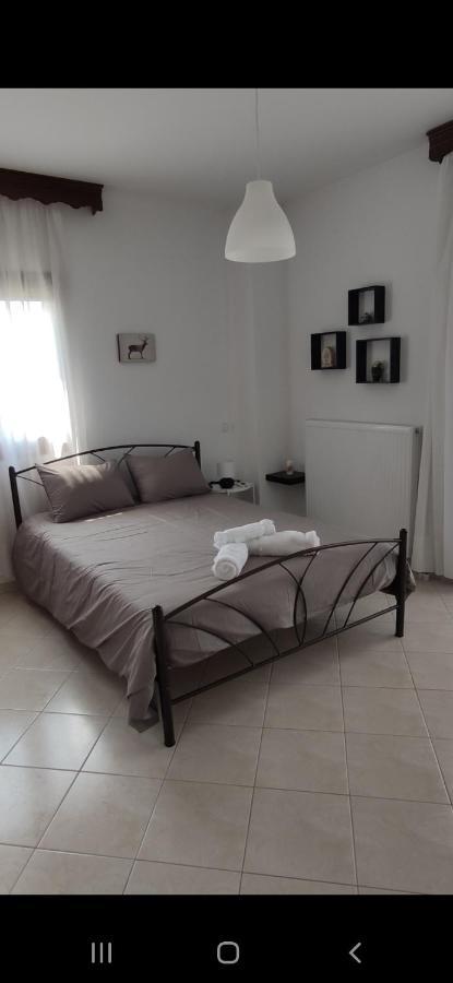 Panos Luxury Suites Kalambaka Bagian luar foto